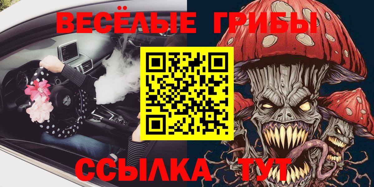 Галлюциногенные грибы Psilocybine cubensis Стрежевой